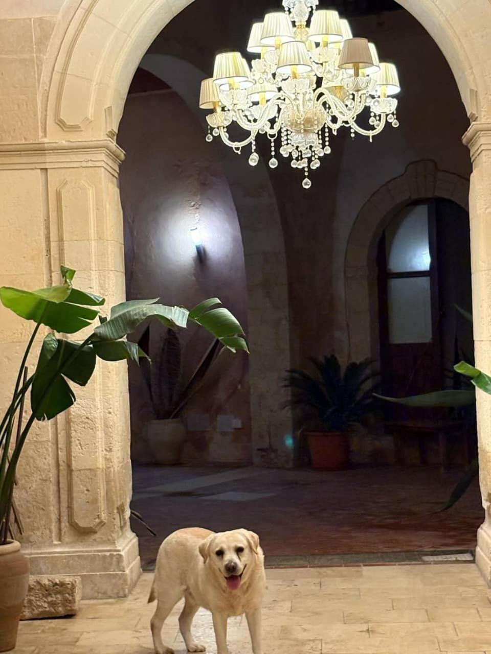 סירקוזה Palazzo Gancia Holiday Homes מראה חיצוני תמונה